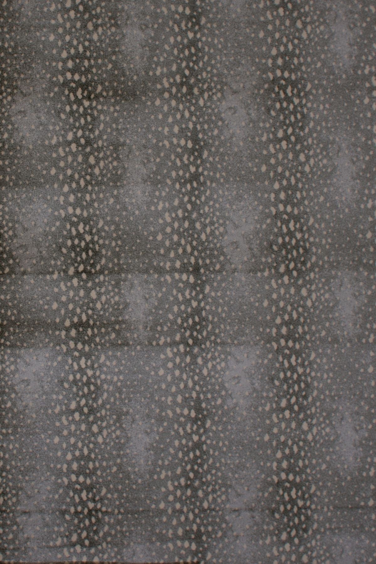086 Titani