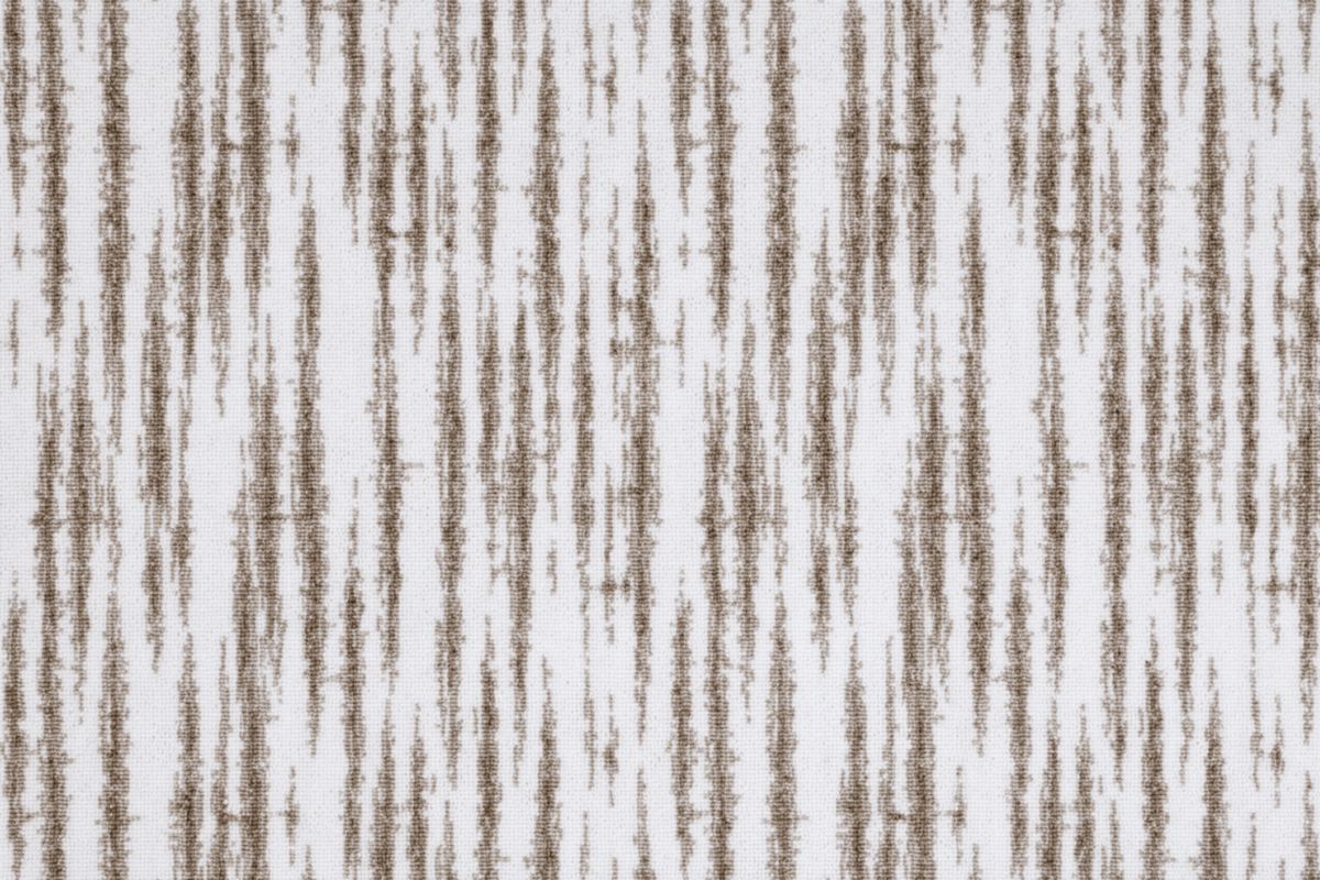 T01002019_CL