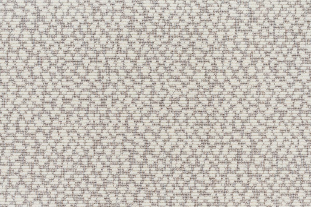 T01006886_CL