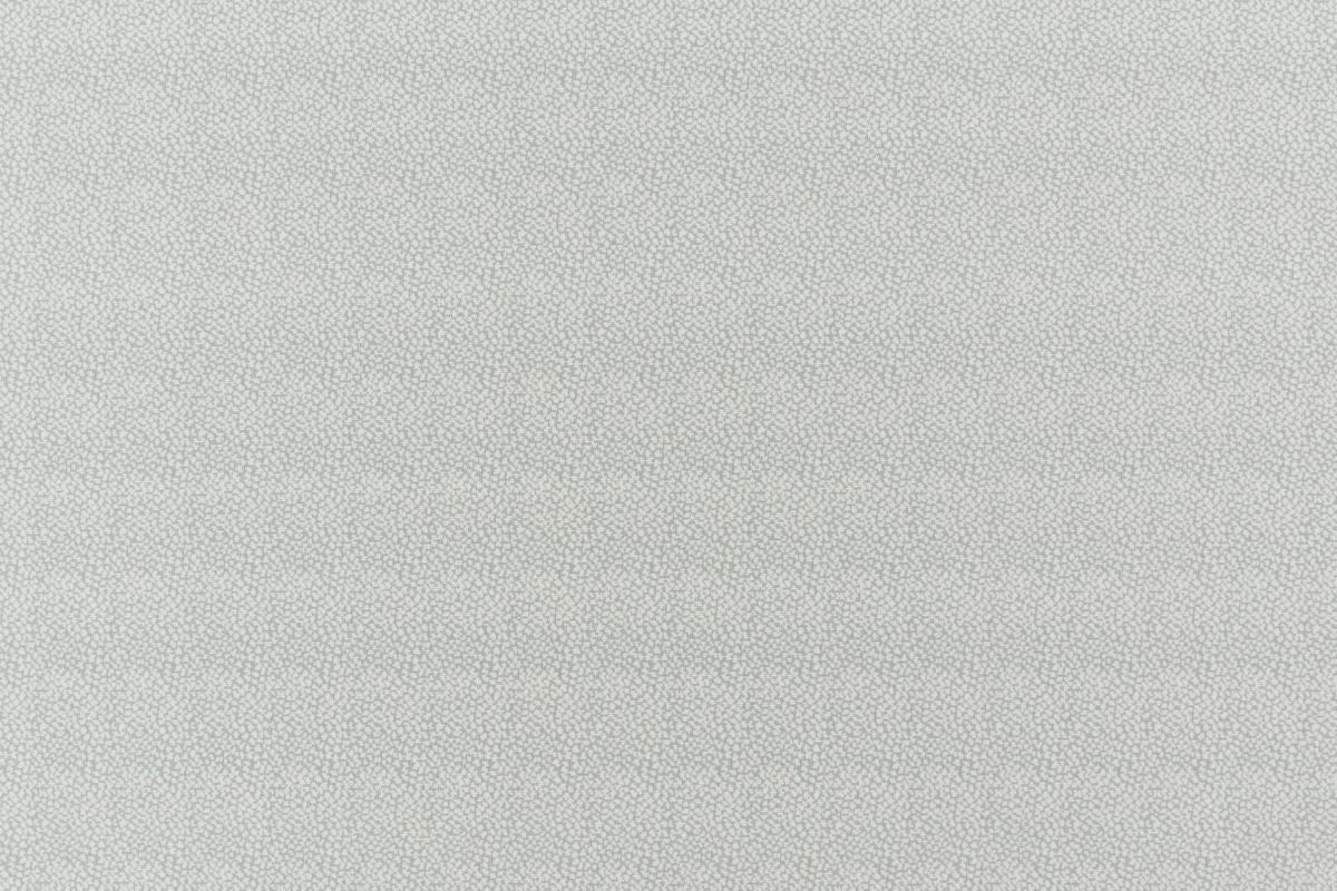 T01006888_ALT2